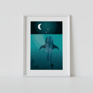 Affiche illustrée du requin-baleine, sans cadre