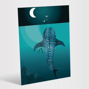 Carte postale illustrée du requin-baleine