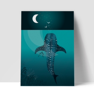 RequinBaleine-SansCadreAffiche Illustration requin-baleine, affiche sans cadre
